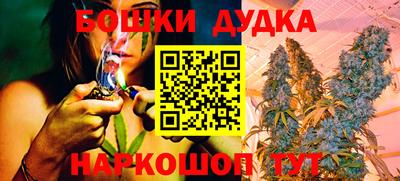 PSILOCYBIN Славгород