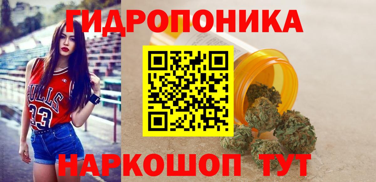 Канабис OG Kush  Конопля гибрид  Отрадное  Вход с VPN 